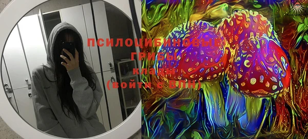 прущие грибы Абдулино