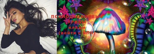 прущие грибы Абдулино