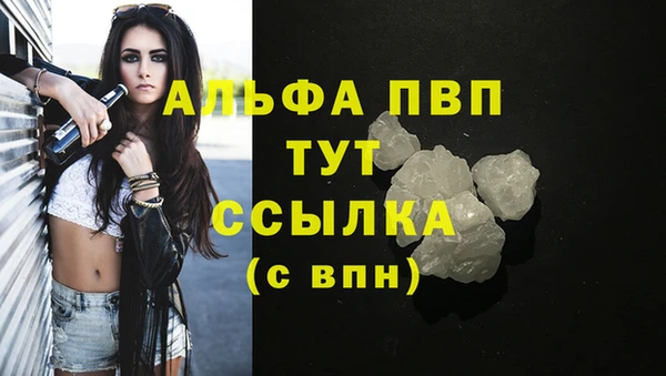 ECSTASY Новокубанск