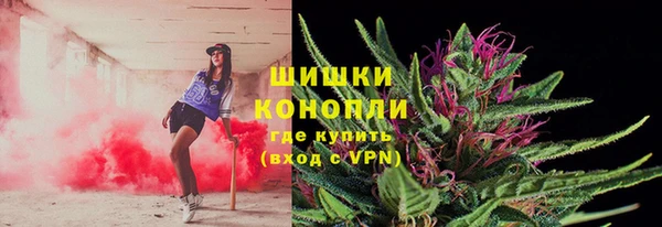 прущие грибы Абдулино