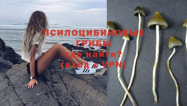 гидропоника Абинск