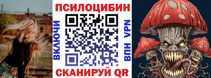 где найти наркотики  Черногорск  Псилоцибиновые грибы MAGIC MUSHROOMS 