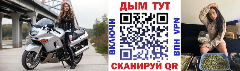 Бошки Шишки план Черногорск